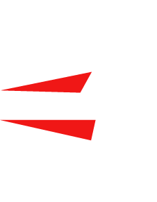 White lightning bolt with red and white triangles surrounding.